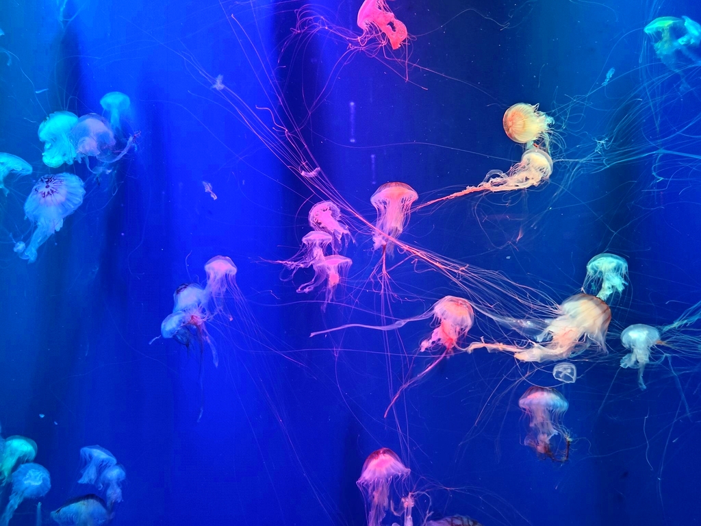 浩海立方海洋公园