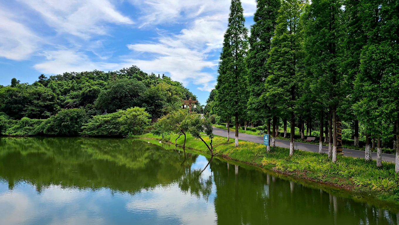 宜兴龙背山森林公园
