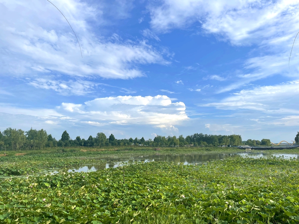 橡皮坝