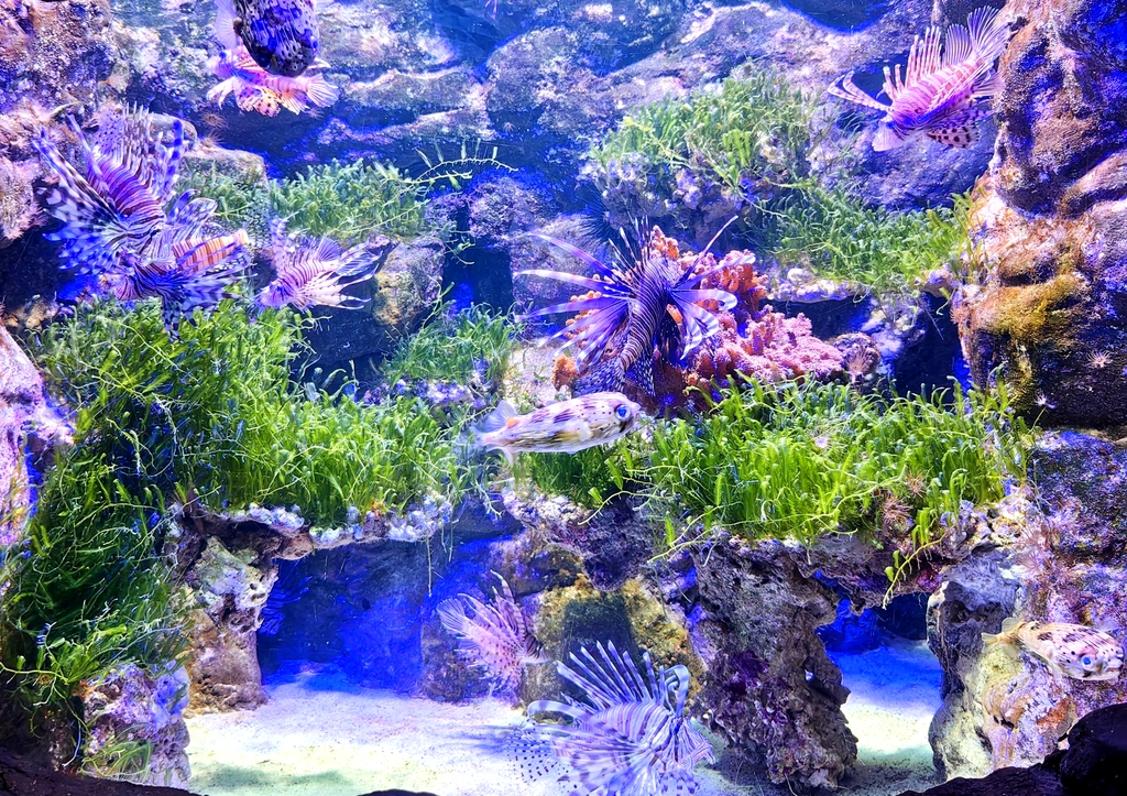 郑州海洋馆