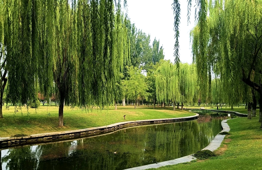 赵苑公园