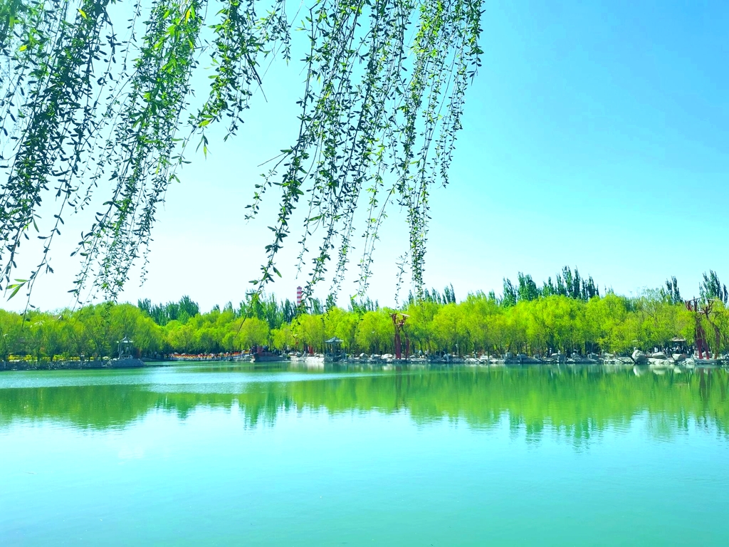 肃州植物园
