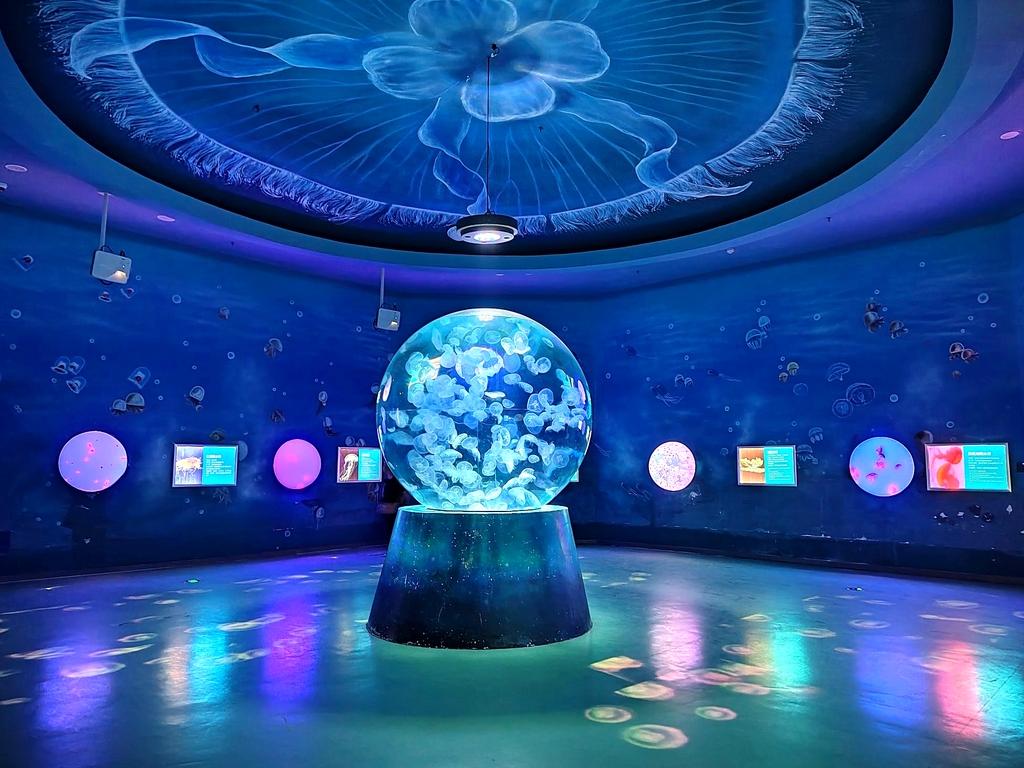 日照海洋公园