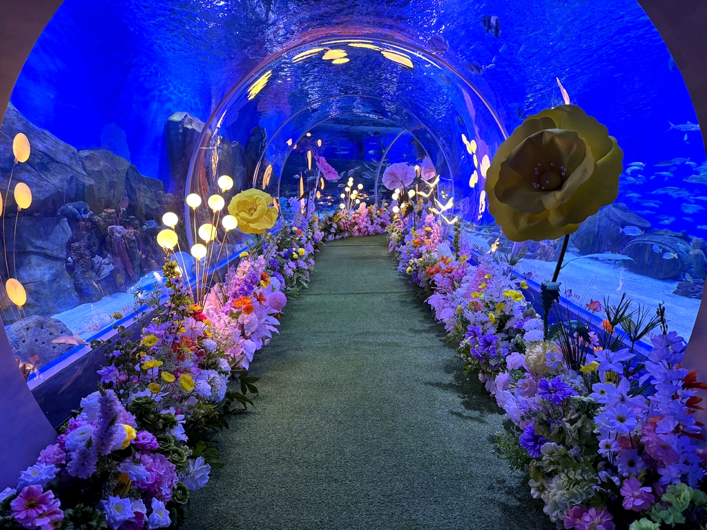 南宏海立方海洋公园