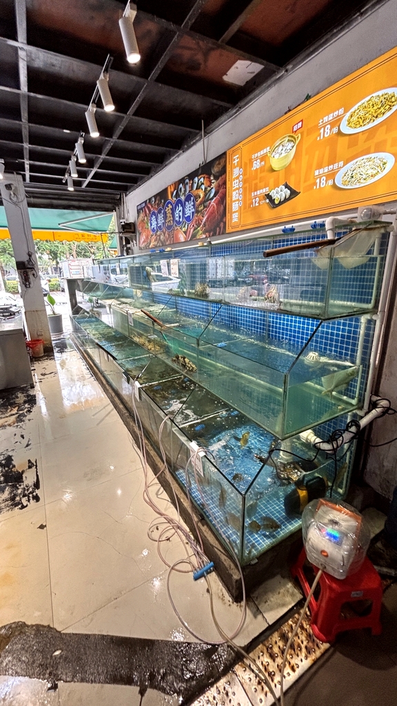 海贝诺诺·蒸汽海鲜