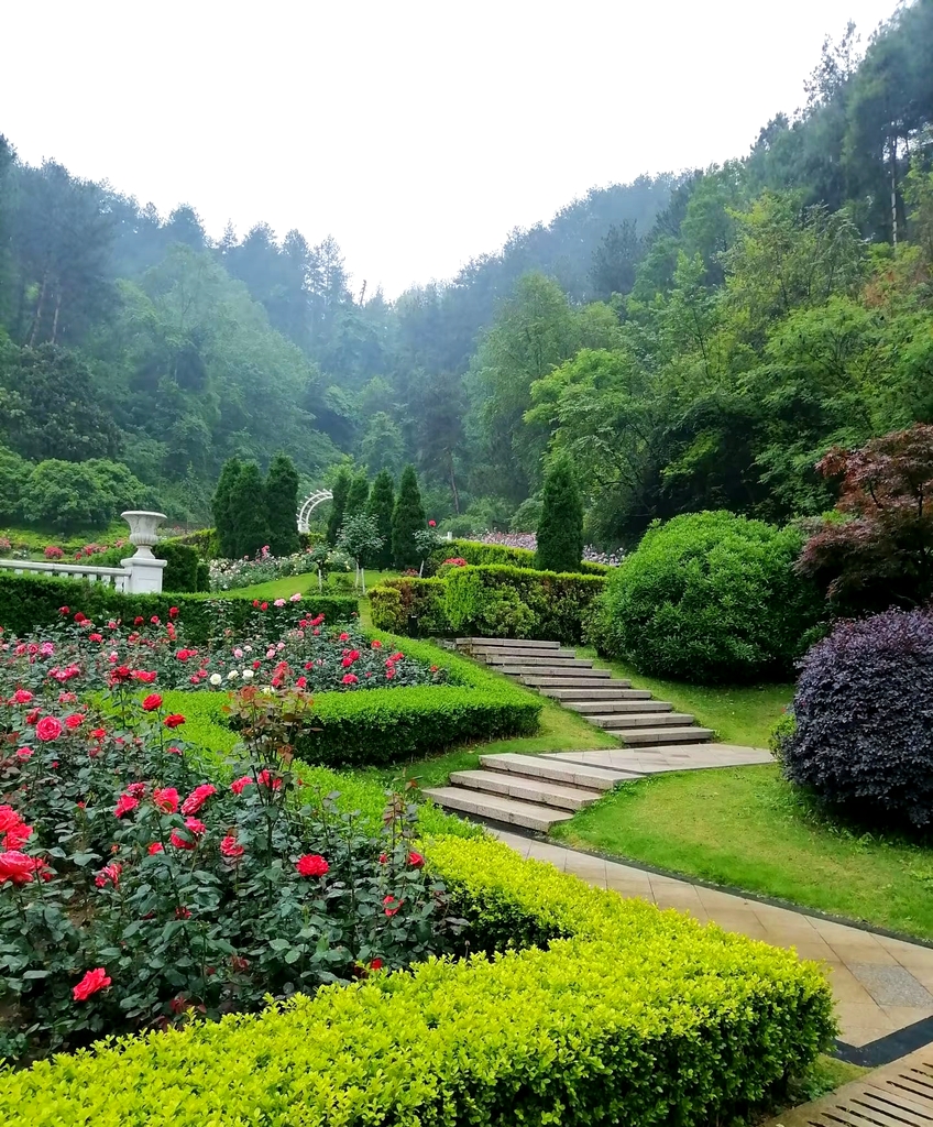 登高云山森林公园