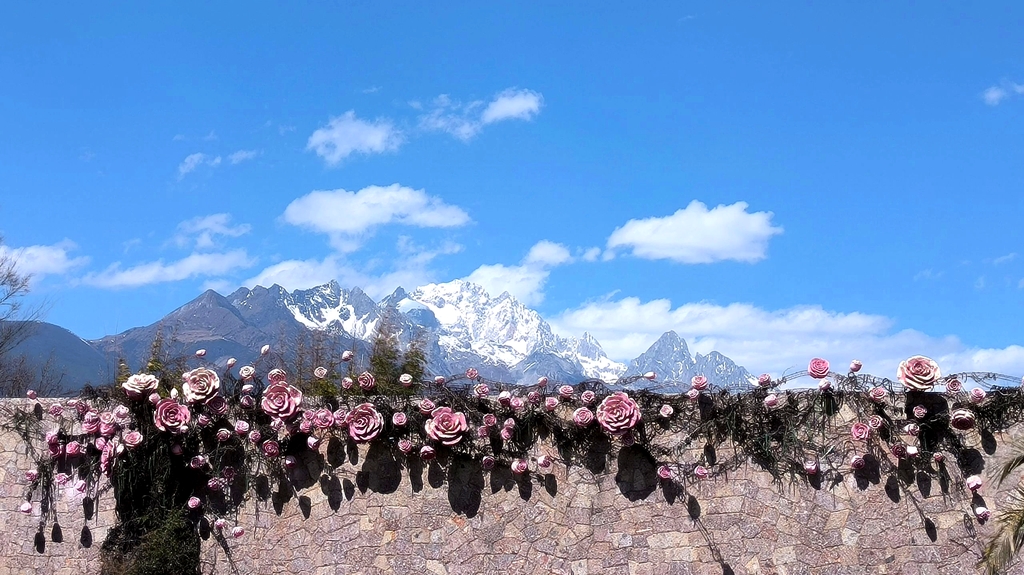 丽江植物园