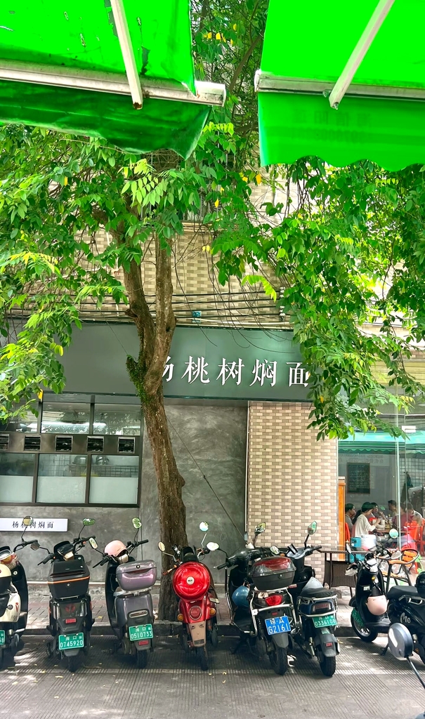 杨桃树焖面(府城店)