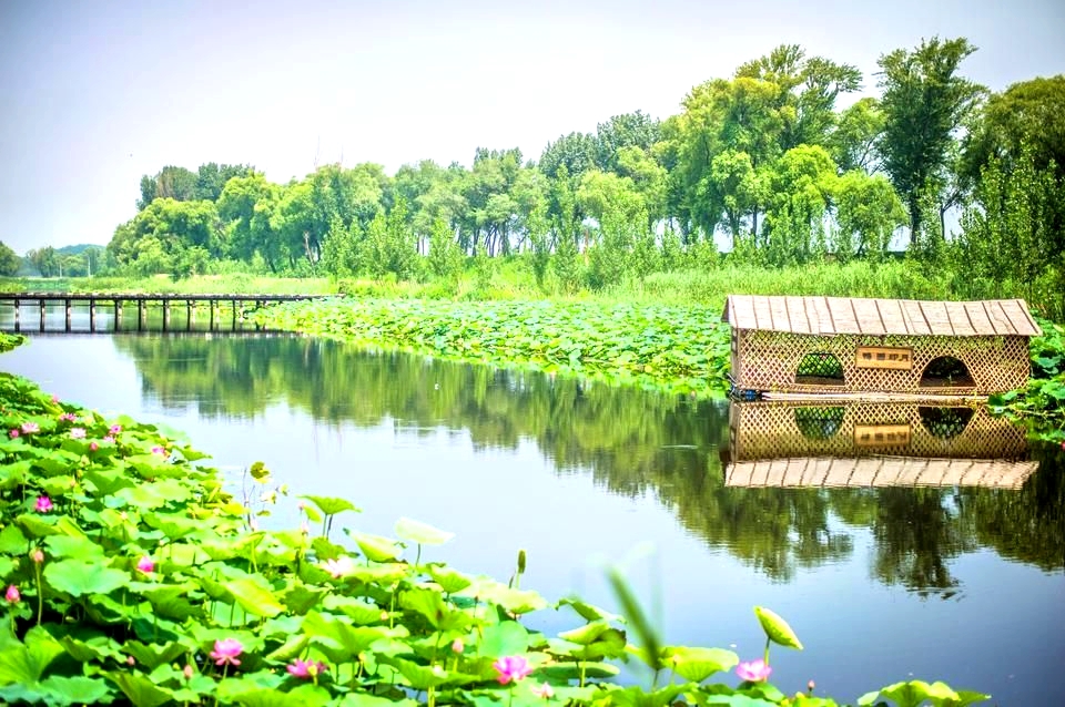 白洋淀景区
