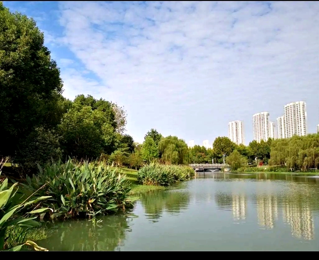 滨湖塘西河公园