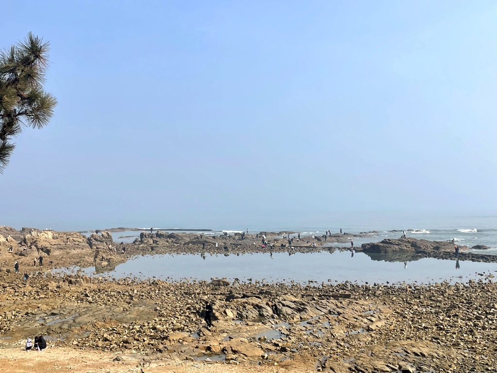任家台赶海园