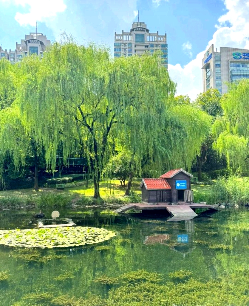 徐家汇公园