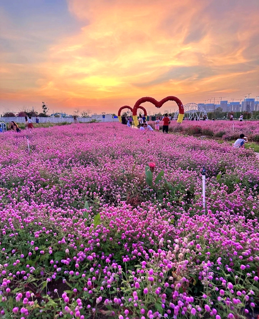 滨海湾花海里
