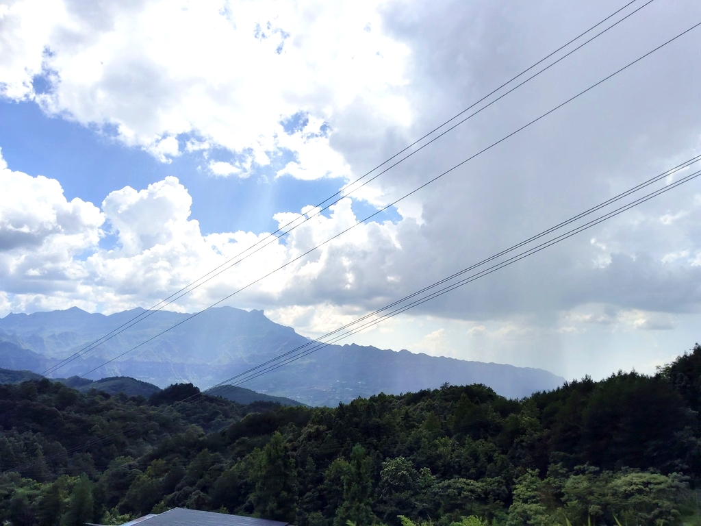 阿驼岭省级森林公园