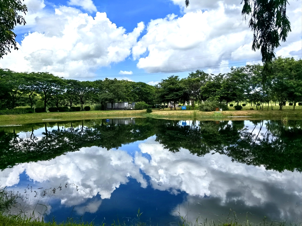 石岩湿地公园
