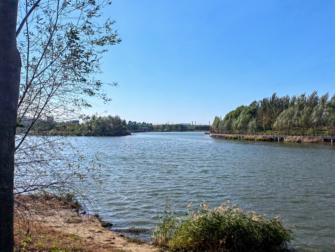 西湖湿地公园
