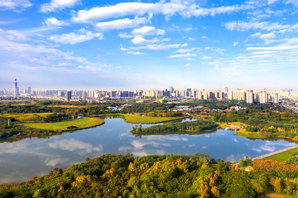 青龙湖湿地公园