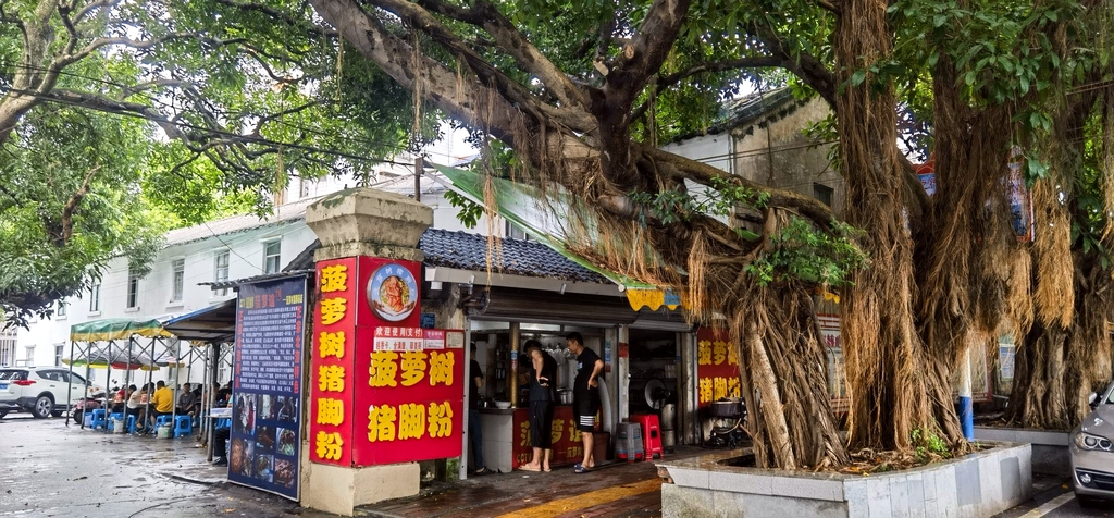 菠萝树猪脚粉店