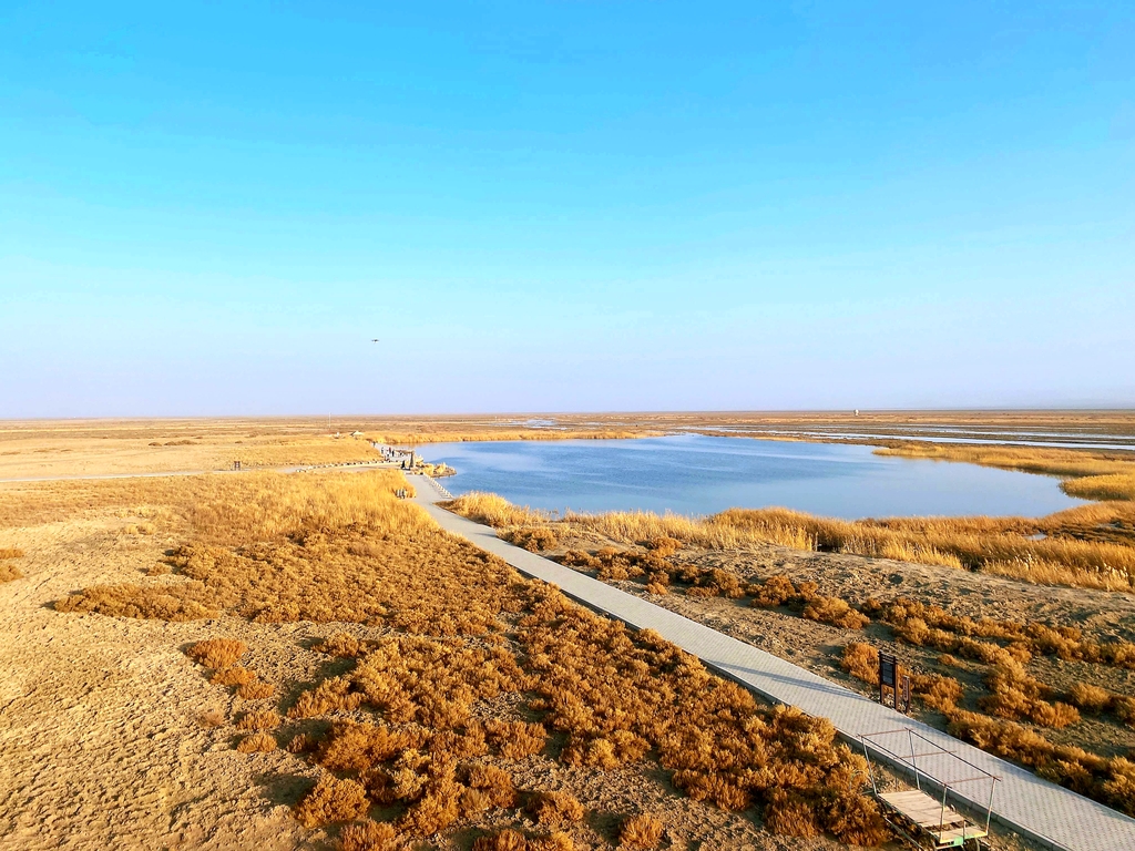 吐鲁番艾丁湖景区