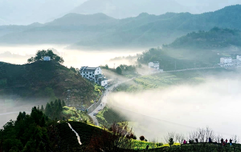 梅干岭观景台
