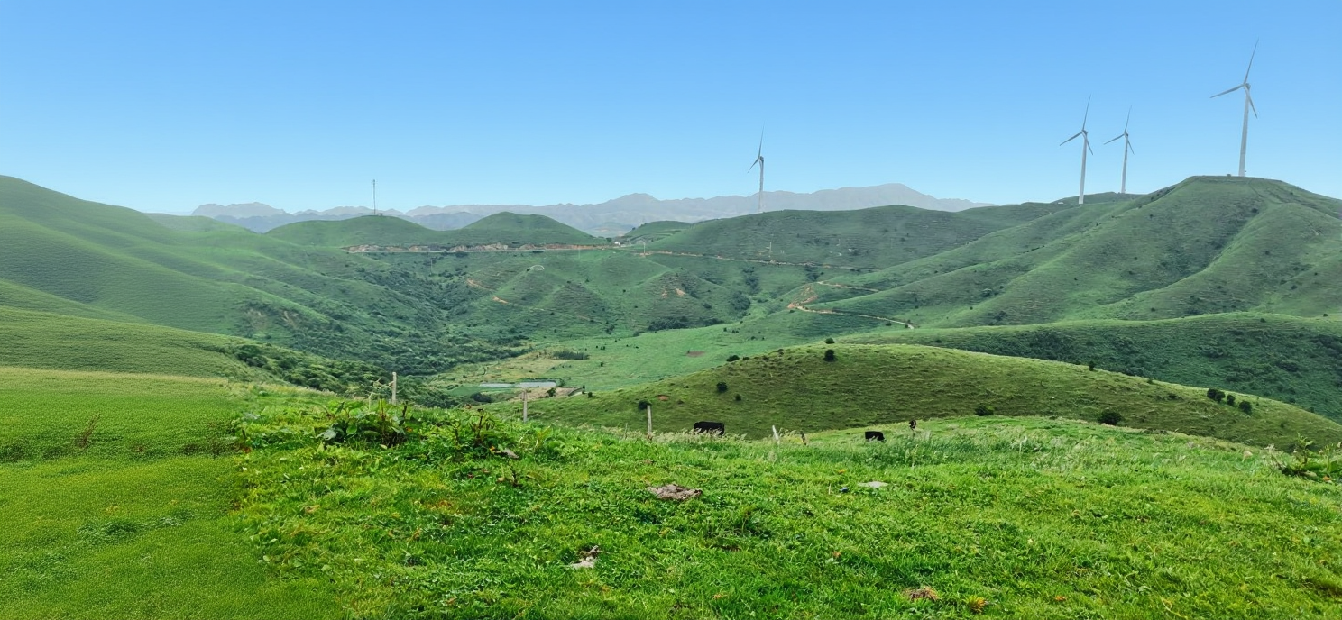 南山牧场