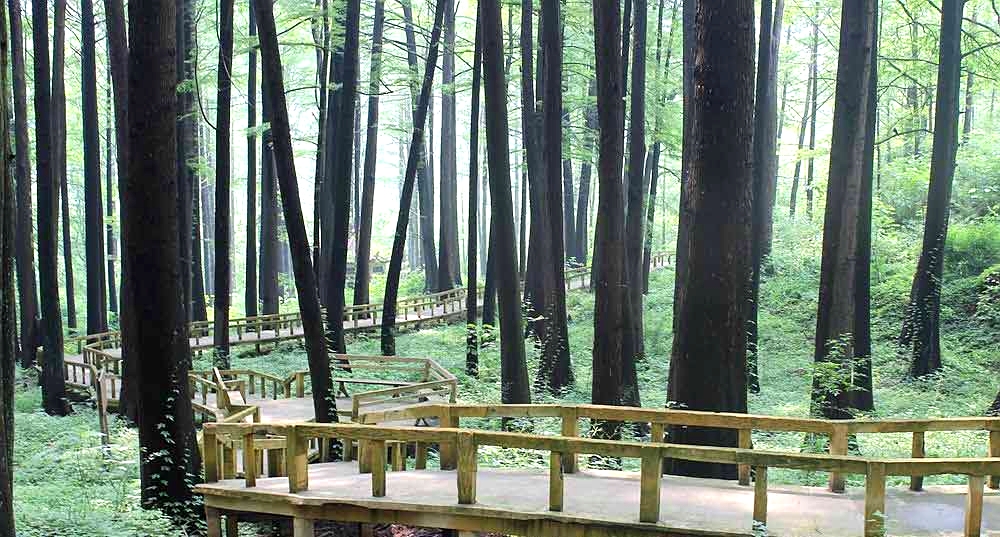 波尔登森林公园