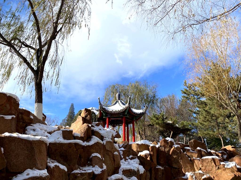 长青公园