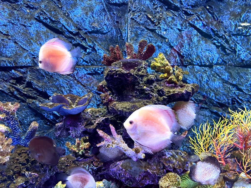 金华万泰海立方海洋公园