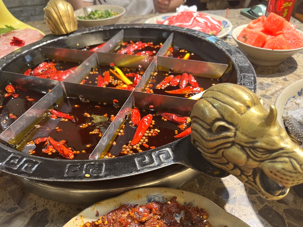 渝大狮老火锅(南坪总店)