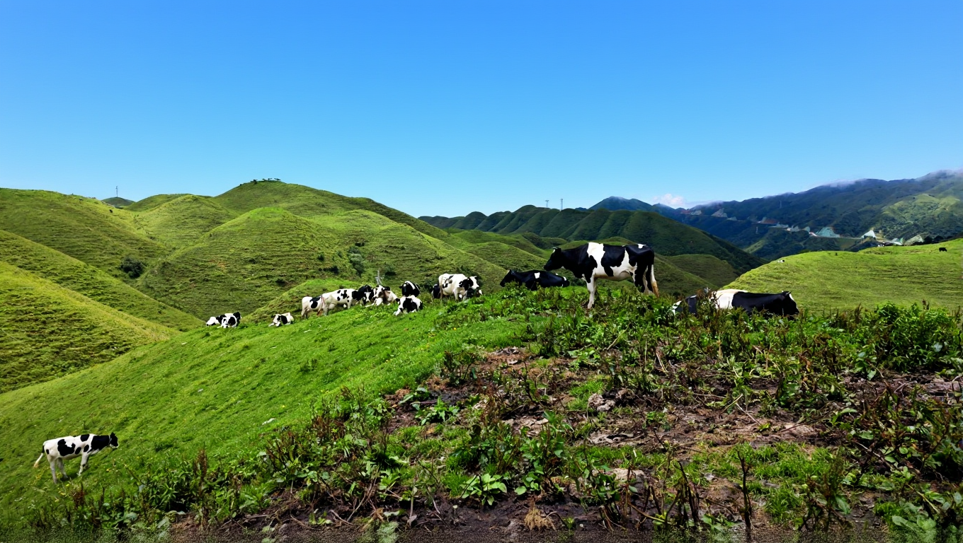 南山风景名胜区紫阳峰