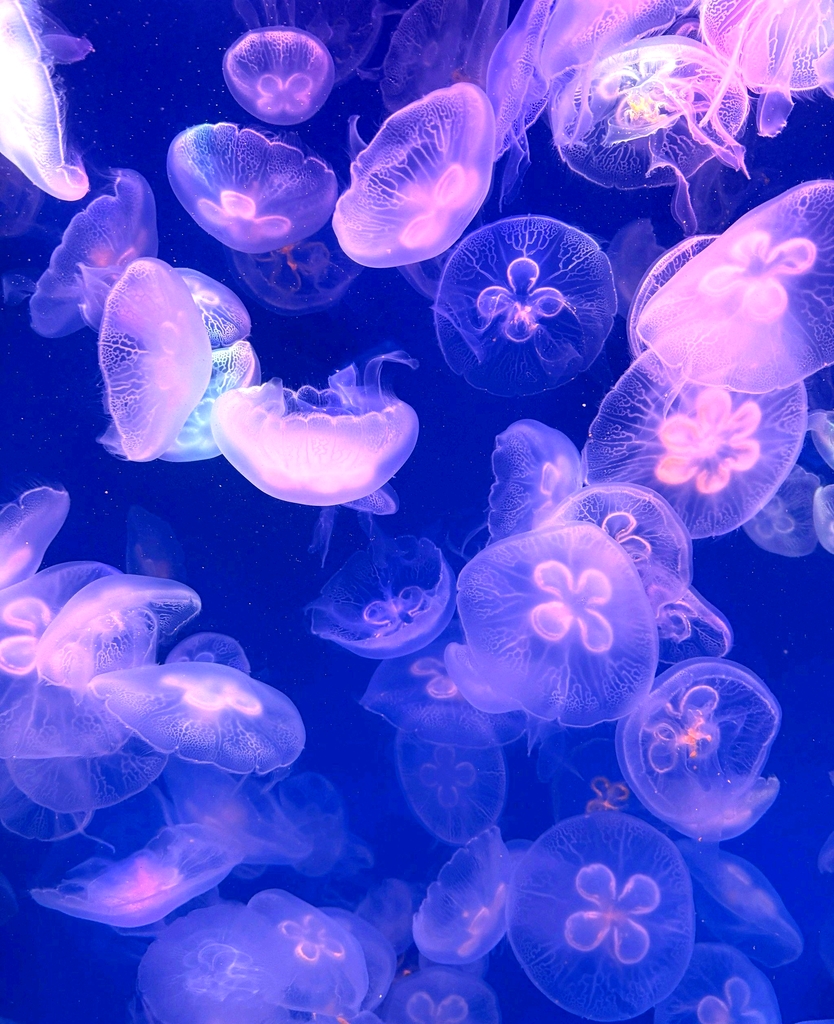 宁波海洋世界