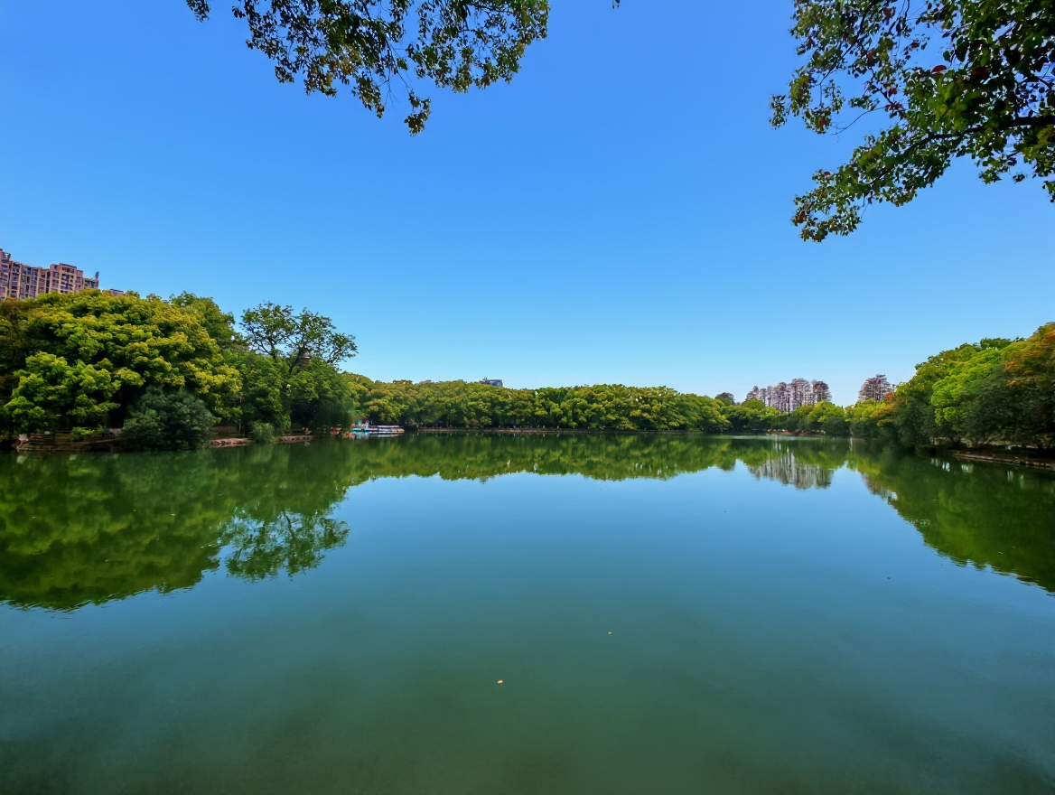 菱湖公园
