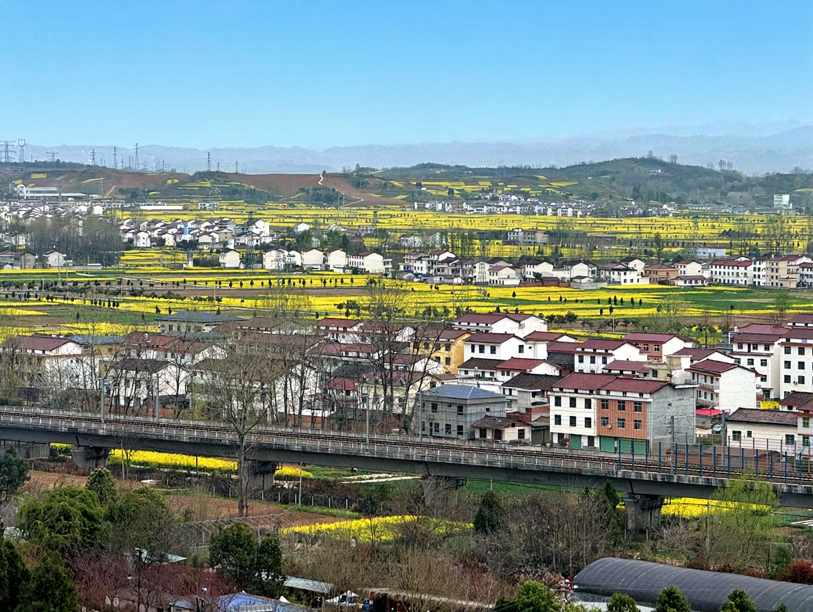 朱鹮梨园景区