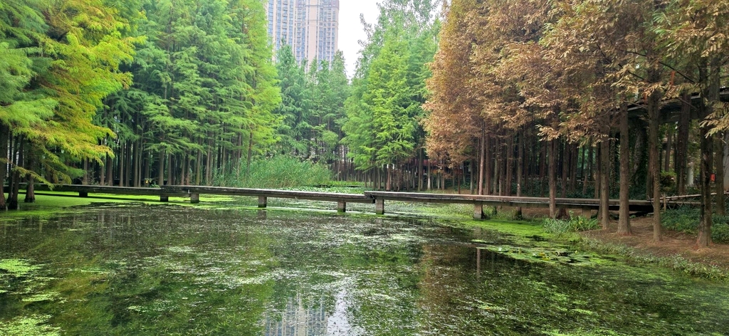 运河公园
