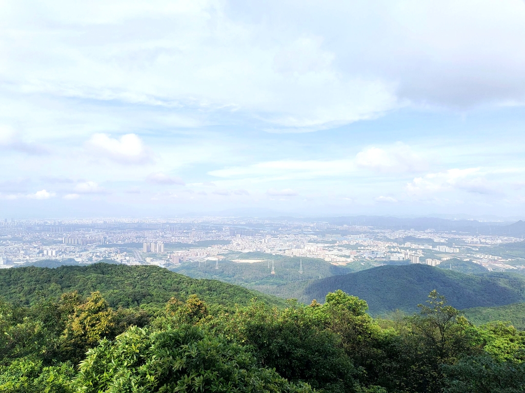 大岭山森林公园