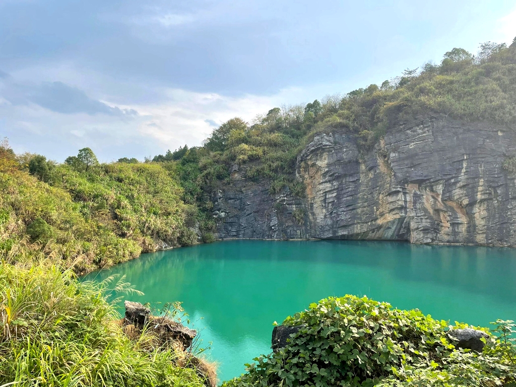 金霞山森林公园