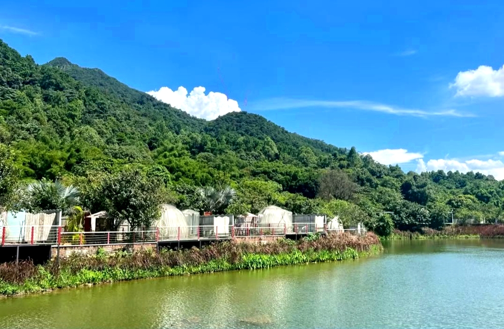 南丹山森林王国