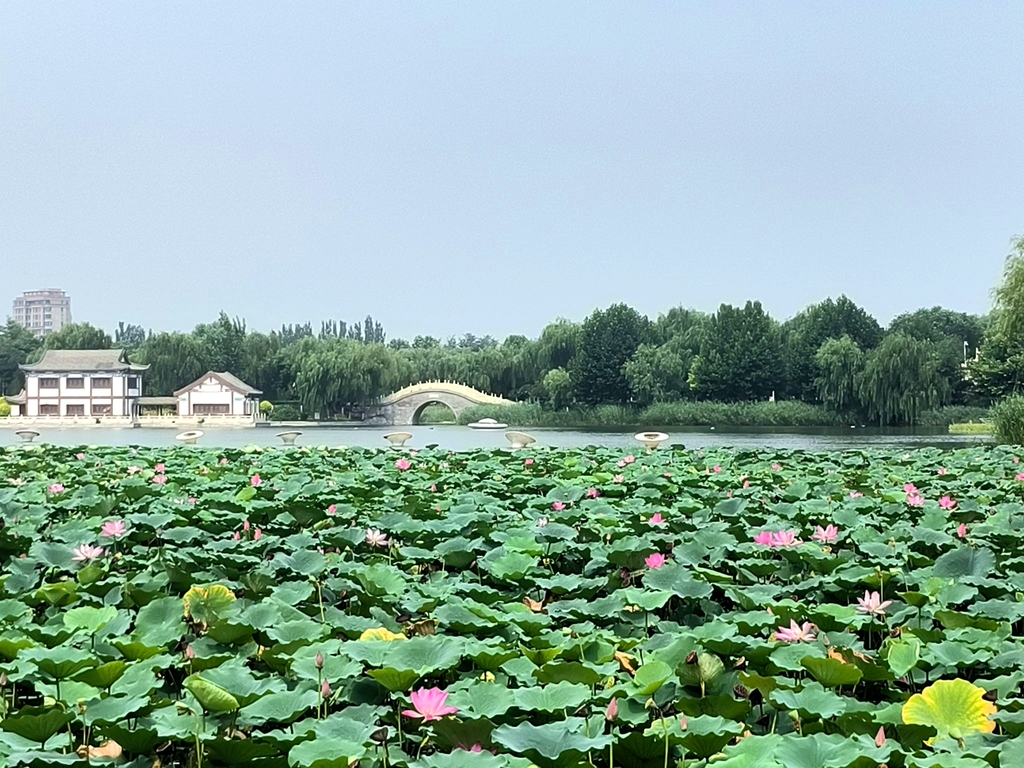 曹雪芹公园