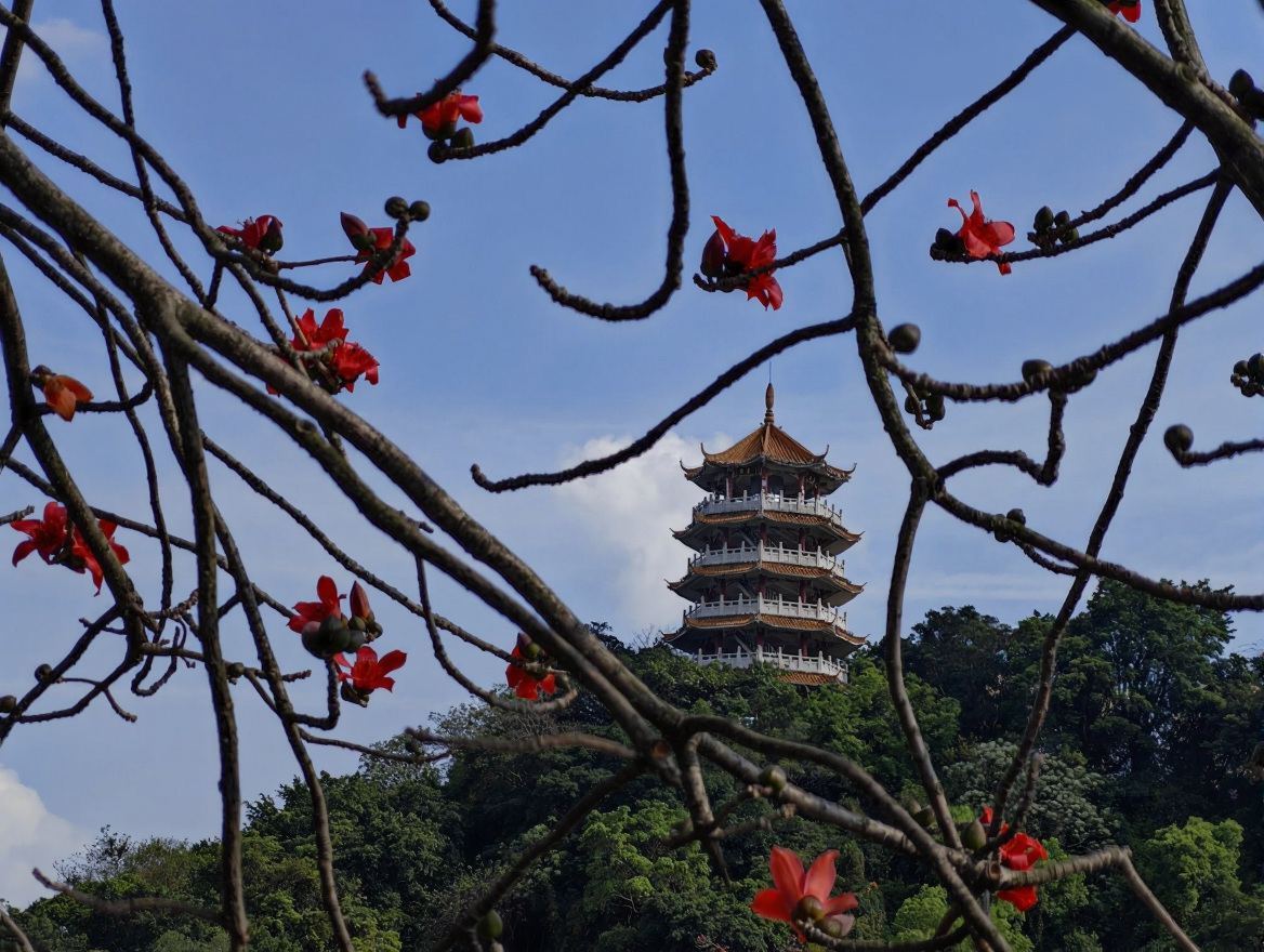 龙山公园