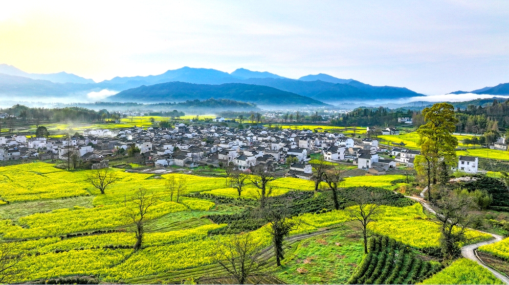 卢村木雕楼景区