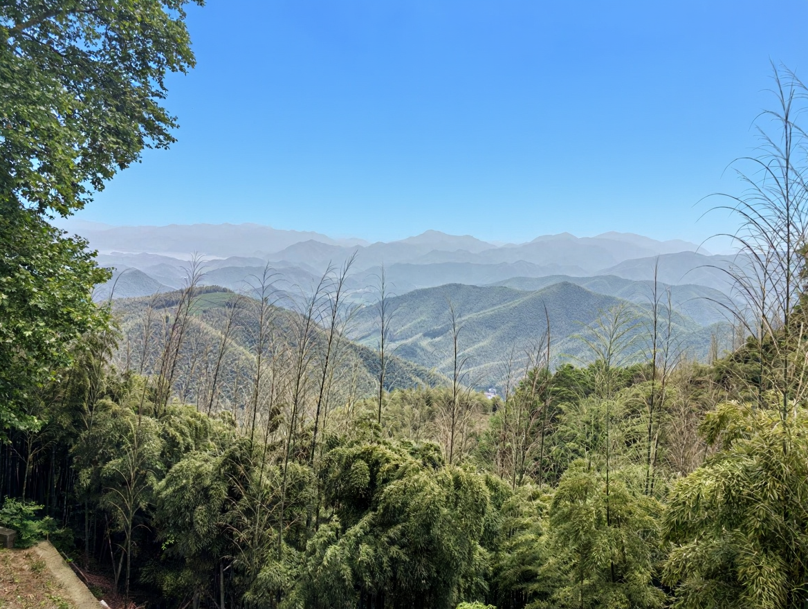 莫干山风景名胜区