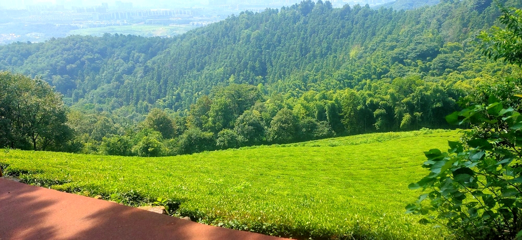 敬亭山风景名胜区
