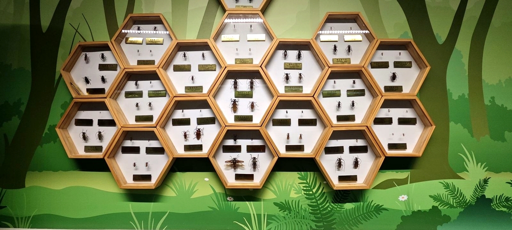 西北农林科技大学博览园