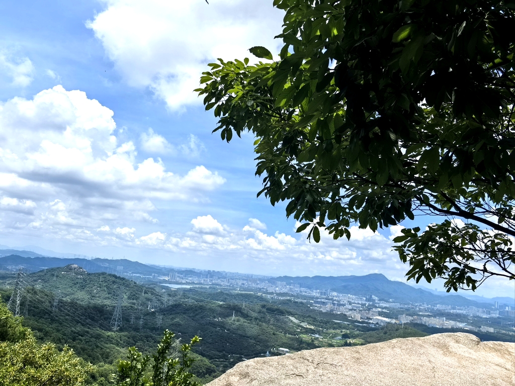 凤凰山森林公园