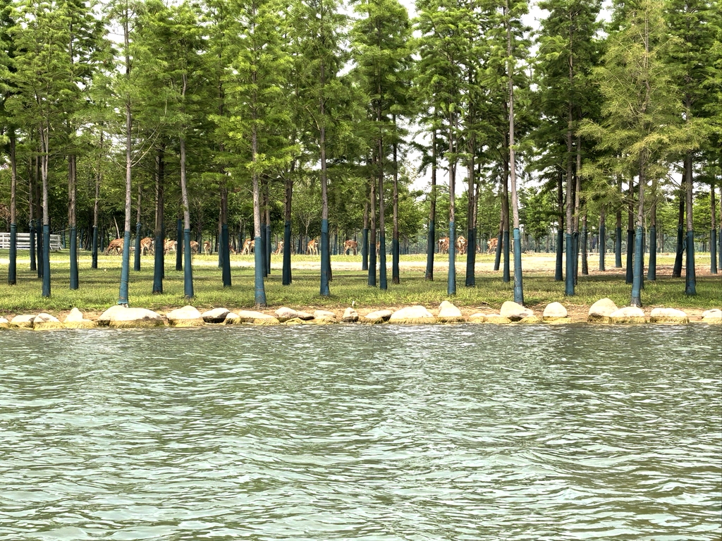 金沙湖旅游区