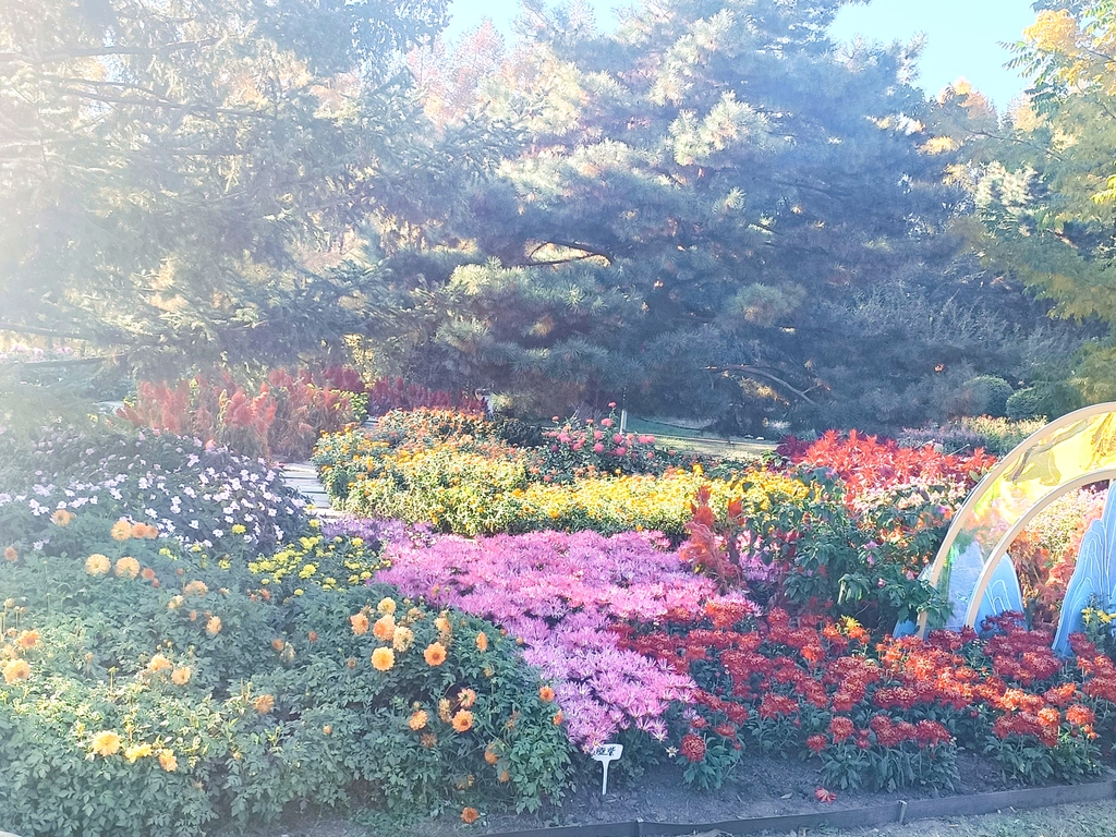 长春市百花园