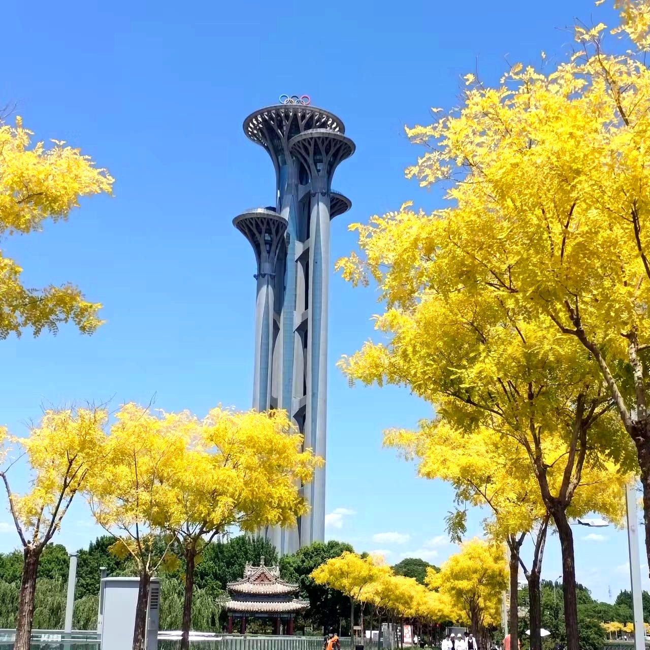 奥林匹克森林公园