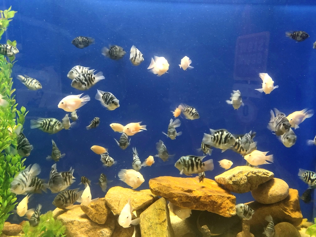 漯河海洋馆