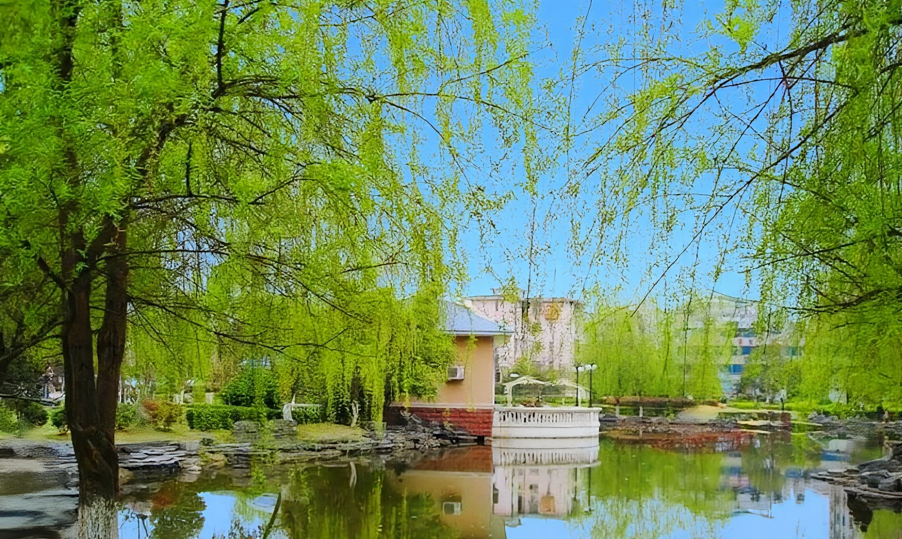 紫舞公园