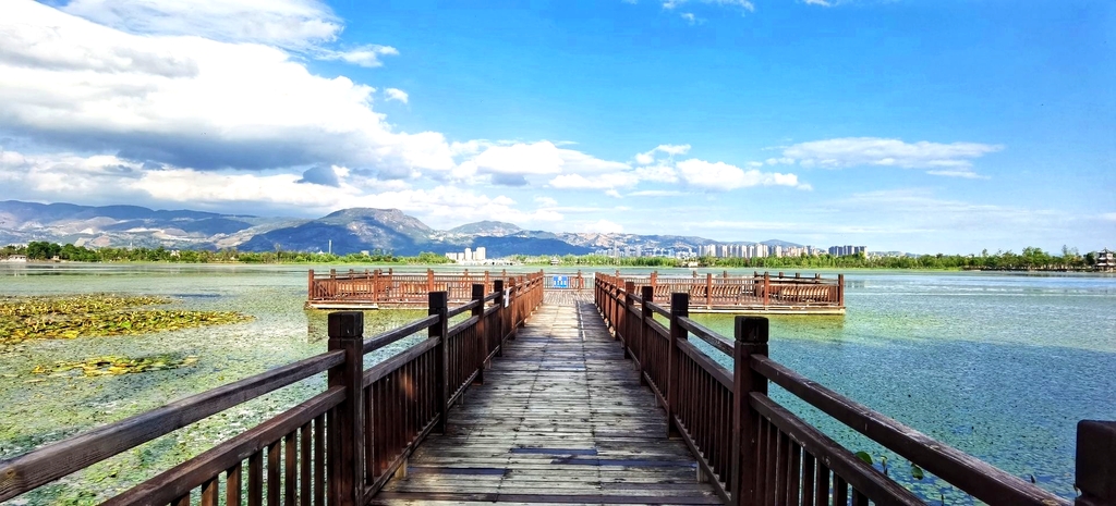 青华海国家湿地公园